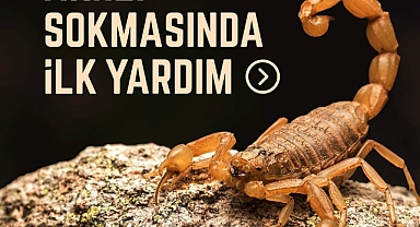 AKREP SOKMASINDA İLK YARDIM