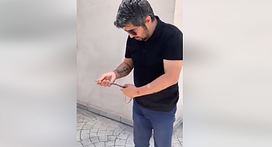 Eve giren yılanı elleriyle yakalayıp, doğaya saldı