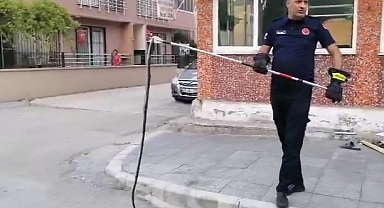 İSKENDERUN’DA YILAN PANİĞİ