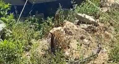SAMANDAĞ’DA ÇADIR YANI YILAN KAYNIYOR