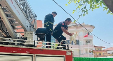 Alanya'da ağaçta mahsur kalan kedi itfaiye ekiplerince kurtarıldı