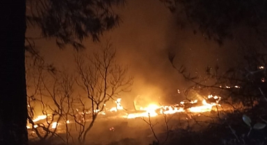 Hatay'da çıkan orman yangını söndürüldü