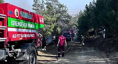 Hatay'da çıkan orman yangını söndürüldü