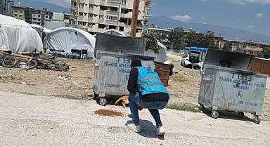 HATAY ÜLKÜ OCAKLARI SOKAK HAYVANLARINI UNUTMADI