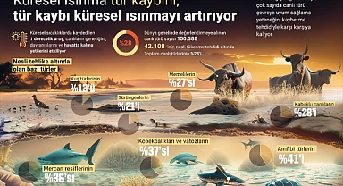 İKLİM DEĞİŞİKLİĞİ YOĞUNLAŞIYOR
