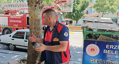 KARGA SALDIRISINI İTFAİYE ÖNLEDİ