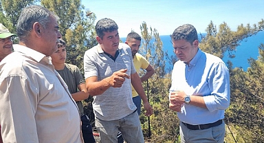 KAYMAKAM GÖKPINAR YANGIN BÖLGESİNİ İNCELEDİ