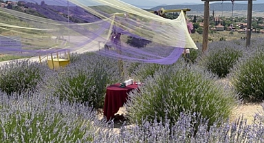 Lavanta festivali 14-18 Temmuz'da gerçekleştirilecek