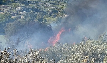 Orman yangını kontrol altına alındı