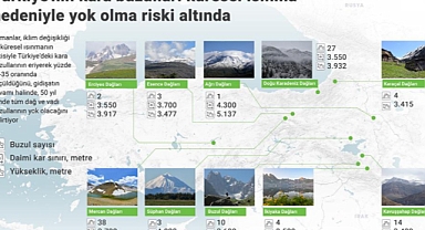 Türkiye'nin kara buzulları küresel ısınma nedeniyle yok olma riski altında