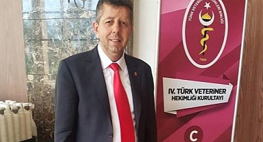 YAZIN SICAKTAN KORUNMA YOLLARI