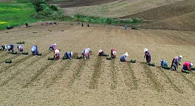141 KADINA TKDK DESTEĞİ