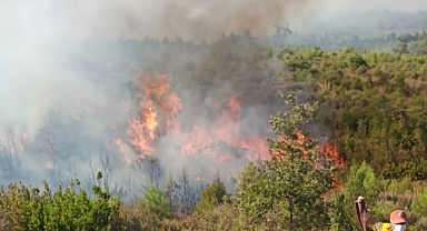 Burdur'da orman yangını çıktı