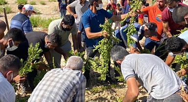 CESEDİ BAHÇEDE BULUNAN YASEMİN ÜNLÜ DEFNEDİLDİ
