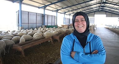 Devlet desteğiyle çiftlik kuran kadın, koyun sayısını 150'den 350'ye çıkardı
