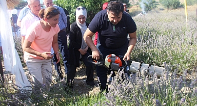 DEVLETİN DESTEĞİ İLE LAVANTA YETİŞTİRİYOR