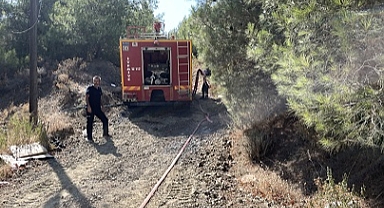 Hatay'da çıkan orman yangını söndürüldü
