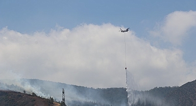 Hatay'da orman yangını çıktı