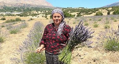 Kaş'ta atıl arazilerin değerlendirilmesi için ekilen lavantanın hasadına başlandı