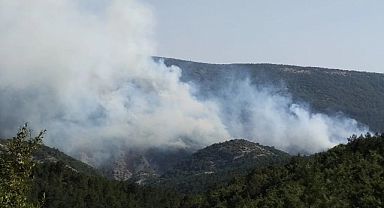 Orman yangınına havadan müdahale ediliyor