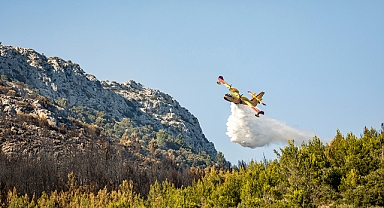 ORMAN YANGINLARI NEDEN ARTIYOR