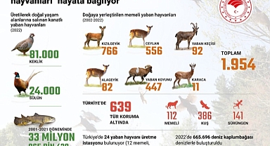 Türkiye'nin projeleri nesli tehlike altındaki hayvanları