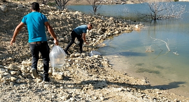 15 bin sazan balığı yavrusu gölete bırakıldı