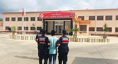 Bahçeden avokado çalan zanlı tutuklandı