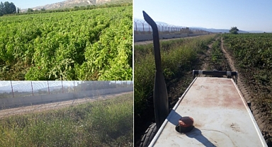 Çiftçiler, Sınır Hattındaki Hırsızlardan Yana Dertli