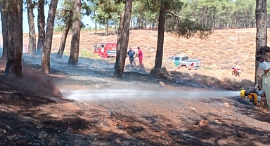 Hatay'da çıkan örtü yangını söndürüldü