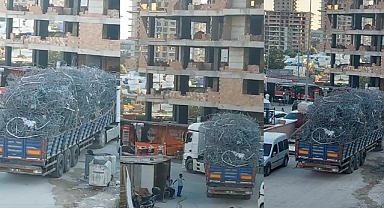 HATAYLILARIN CANI DEĞERSİZ Mİ?