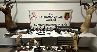 Kaçakçılık operasyonunda silah ve hayvan tahnitleri ele geçirildi