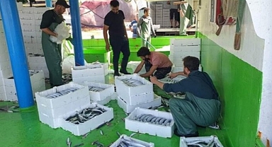 Balıkçıların Yüzü Gülüyor