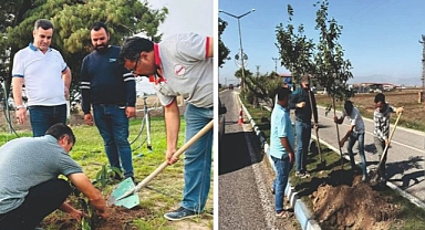 Cumhuriyetin 100. Yılında Binlerce Ağaç Dikiliyor