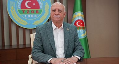 Düşük Limon Fiyatları Üreticileri Mağdur Etti