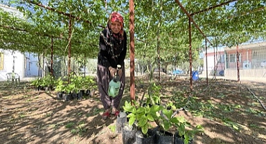Evlerinin önüne kurdukları tropikal meyve bahçesi gelir kapıları oldu
