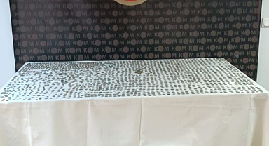 Hatay'da 2 Bin 410 Sikke Ele Geçirildi