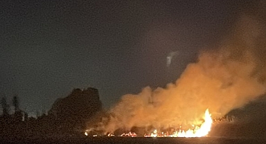 Hatay'da sazlık alanda çıkan yangın kontrol altına alındı