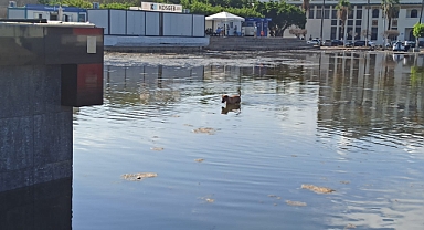 İSKENDERUN’DA İLGİNÇ GÖRÜNTÜ
