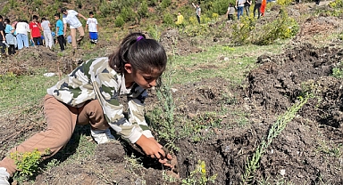 Öğrenciler Fidan Dikti