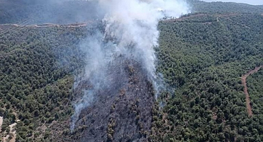 Orman Yangınının Sigara İzmaritinden Kaynaklandığı Öne Sürüldü
