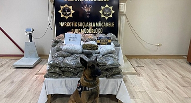 TIR'da 45 kilo 750 gram esrar ele geçirildi
