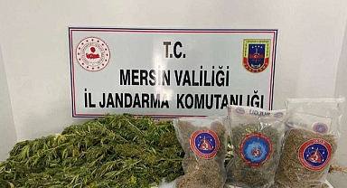 Uyuşturucu operasyonunda yakalanan 3 zanlıdan 1'i tutuklandı