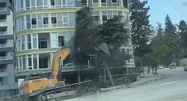 Yeşil Tükenirse Nesil Tükenir