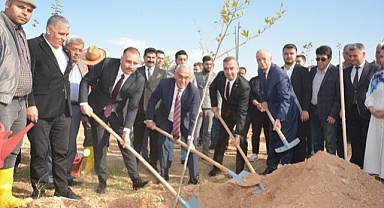 Alparslan Türkeş anısına fidan dikildi