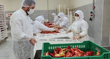 HATAY BİBERİNE YENİ RAKİP ÇIKTI