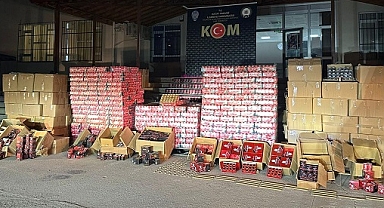 Hatay'da 52 bin gümrük kaçağı cinsel içerikli ürün ele geçirildi