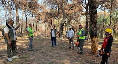 Hatay Orman Bölge Müdürlüğü'nde Uygulamalı Eğitim
