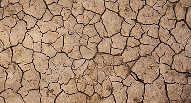 TEMA Vakfı: Toprağı Korumak Hepimizin Görevi