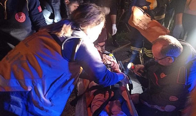 Bahçeye Devrilen Otomobildeki 6 Kişi Yaralandı